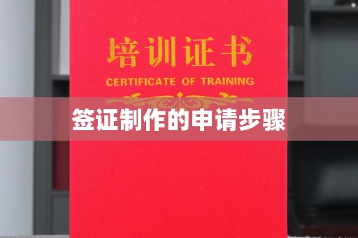 建华签证制作的申请步骤
