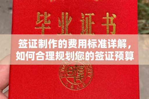 建华签证制作的费用标准详解，如何合理规划您的签证预算